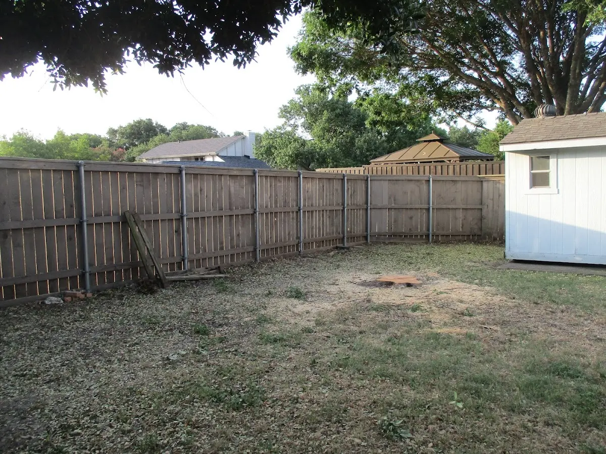 Cleared yard after professional tree removal in Coxs Creek